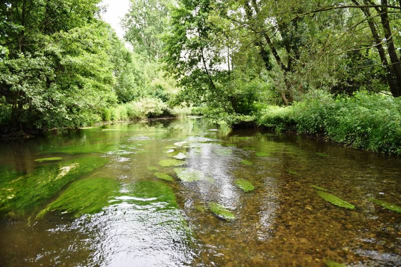 Silikatischer Mittelgebirgsfluss