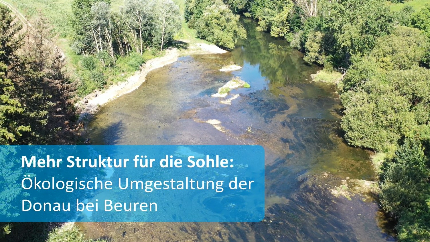  Vitale Gewässer - Vorschaubild Video zur Maßnahme Donau bei Beuren