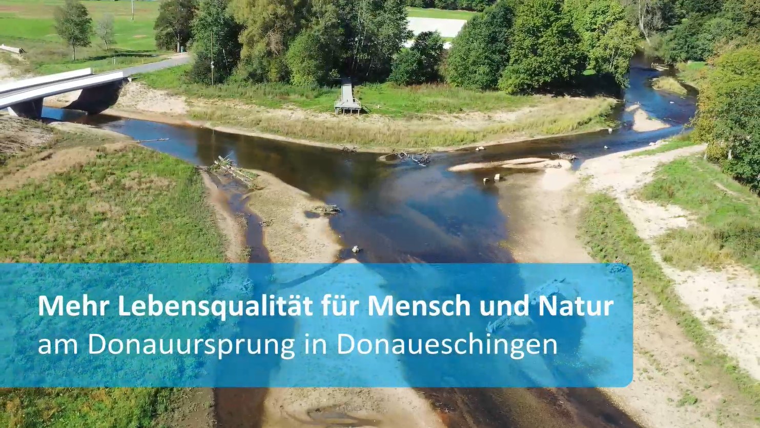  Vitale Gewässer - Vorschaubild Video zur Maßnahme Donauursprung in Donaueschingen