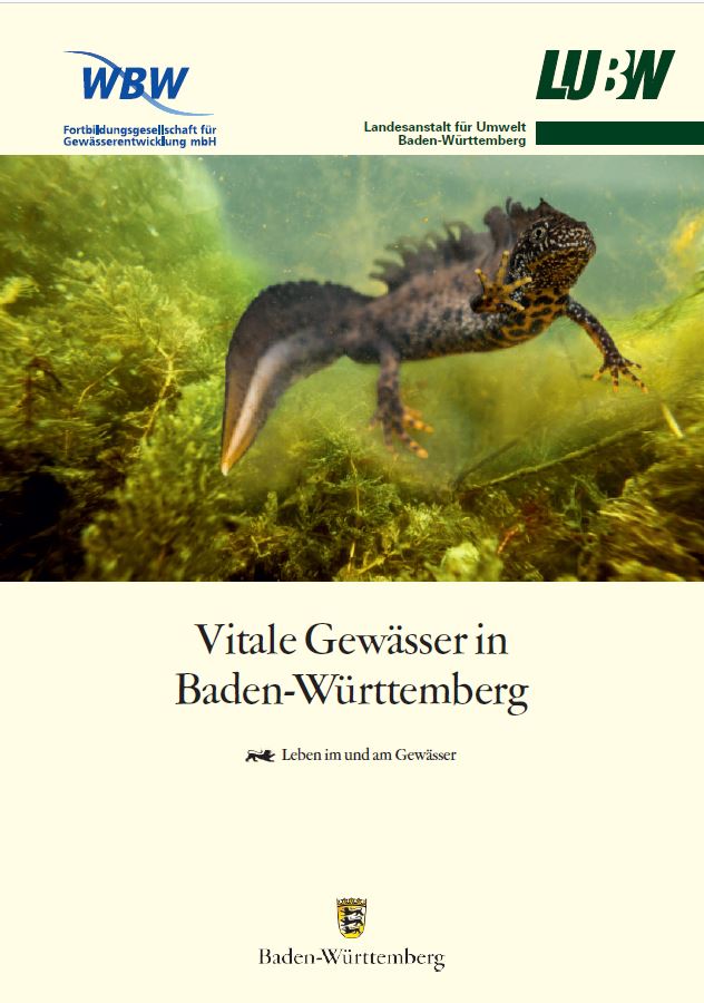  Vitale Gewässer - Leben in und am Gewässer - Deckblatt Fachbroschüre 2020