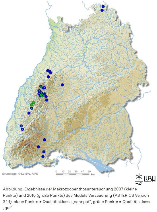 Gezeigt wird eine Karte Baden-Württembergs, in der die Ergebnisse der Makrozoobenthosuntersuchungen aus dem Jahr 2007 als kleine Punkte und 2010 als große Punkte eingetragen sind. Blaue Punkte stehen dabei für die Qualitätsklasse "sehr gut" und grüne Punkte für die Klasse "gut". Die Untersuchungen wurden zumeist im Schwarzwald durchgeführt. Blaue und grüne Punkte halten sich in etwa die Waage.