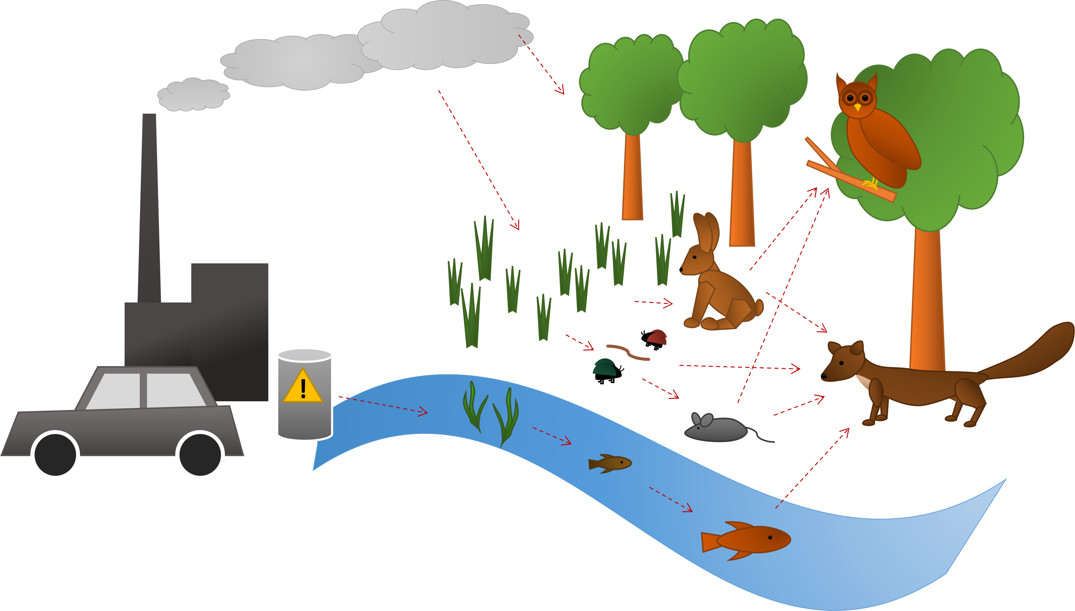 Die Abbildung zeigt den Eintrag von Schadstoffen aus beispielsweise Verkehr und Industrie in eine terrestrische Nahrungskette. Dabei gelangen die Stoffe zunächst in Wasser, Boden und Pflanzen, werden dann von Pflanzenfressern aufgenommen und gelangen über diese weiter in die Fleischfresser am Ende der Nahrungskette.