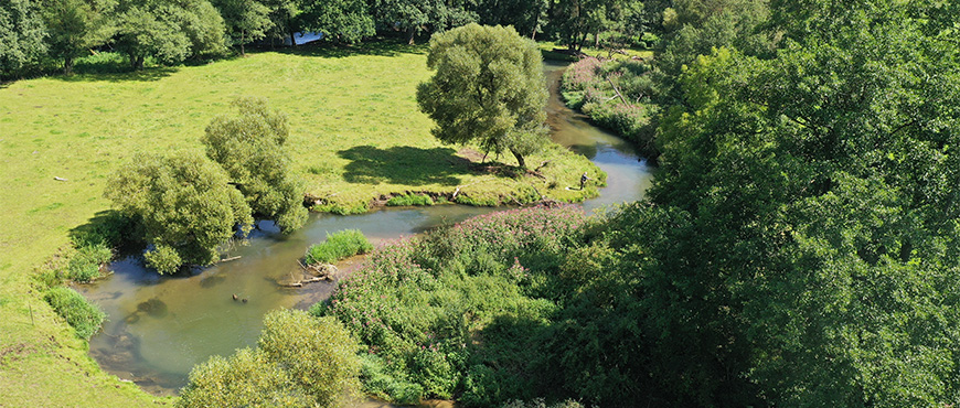 Gewässerlandschaft: Bach mit Windungen entlang von Grünzug. Links Grünfläche mit wenigen Büschen, rechts Baum- und Buschbewuchs.