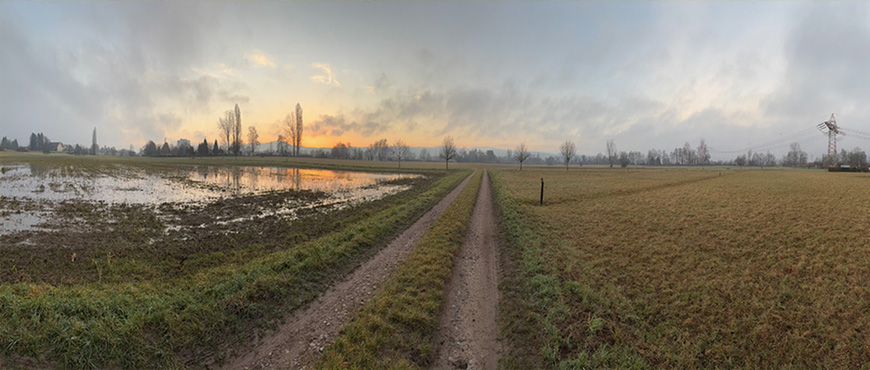 Ackerfläche in der Rheinebene nach einem Regenschauer – auf dem Feld haben sich noch Wasserflächen gebildet.