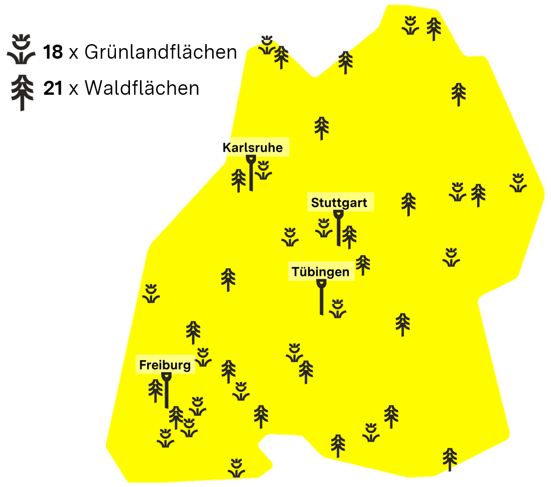 Karte von Baden-Württemberg, auf der man die verschiedenen Messstandorte des Biologischen Messnetzes sieht. Von den 39 Messstandorten sind 18 Grünlandflächen und 21 Waldflächen.