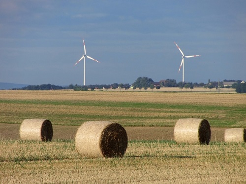 Abgeerntetes Feld mit Windenergieanlagen im Hintergrund