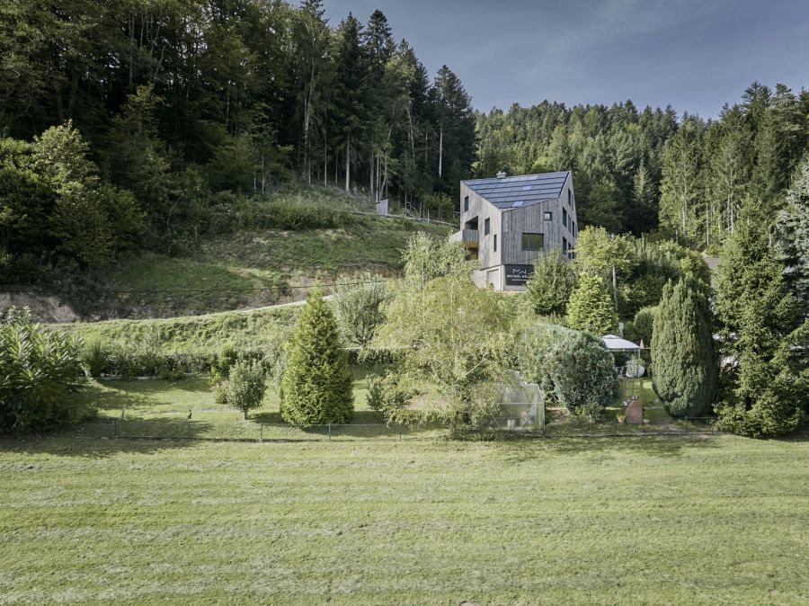 Das moderne, helles Wohnhaus mit markanter, asymmetrischer Dachform steht an einem grünen Hang. Die Fassade wirkt wie aus hellem Holz oder Beton gefertigt und ist mit zahlreichen quadratischen Fenstern durchsetzt. Das Gebäude schmiegt sich an einen steilen, dicht bewaldeten Hügel im Hintergrund. Im Vordergrund erstreckt sich eine weite, grüne Wiese, die von vereinzelten Bäumen und Sträuchern aufgelockert wird. Das Haus wirkt durch seine erhöhte Lage und die minimalistische Architektur wie ein moderner Aussichtspunkt inmitten der Natur. Die Lichtstimmung ist klar und freundlich, unter einem leicht bewölkten Himmel.