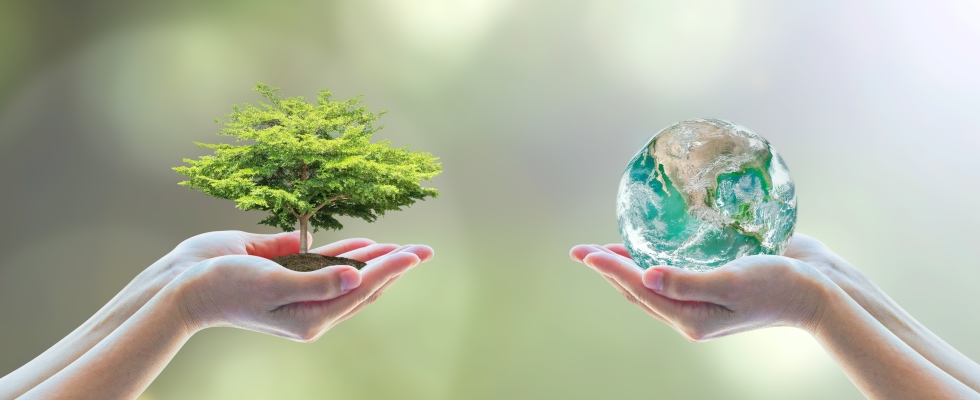 Baum und Weltkugel