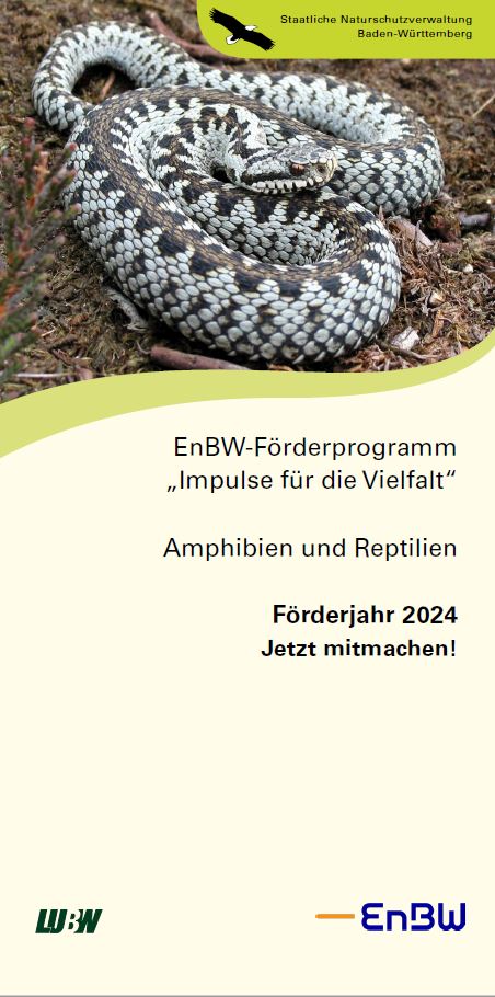  Das Bild zeigt das Cover des Flyers zum EnBW-Förderprgramm 2024.