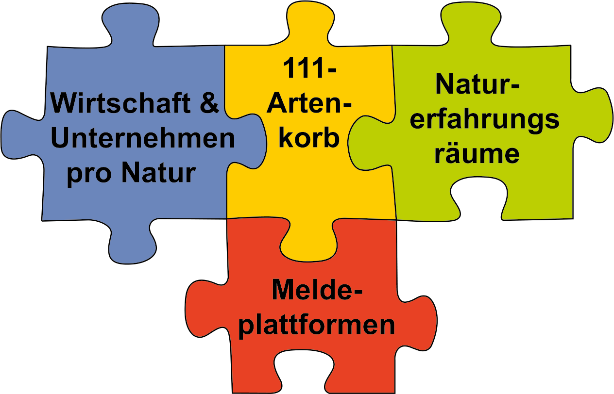 Logo der landesweiten Kampagne "Aktiv für die Biologische Vielfalt" zeigt vier verschiedene Puzzleteile, die für die vier aktuellen Themen der Kampagne stehen. Zentrales Puzzleteil ist der "111-Artenkorb", an den die Themen "Wirtschaft und Unternehmen pro Natur", "Naturerfahrungsräume" und "Meldeplattformen angefügt sind.