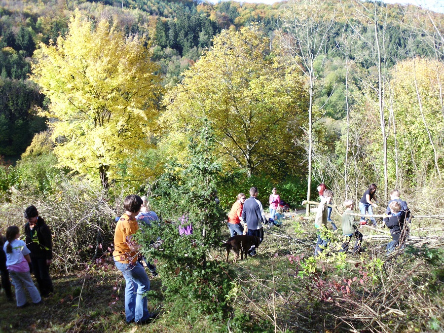 Arbeitseinsatz einer Schülergruppe, die einen gerodeten Bereich einer kleinen Waldfläche abräumt.