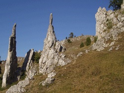 Lebensraum Felsen & Höhlen, Steinriegel und Trockenmauern