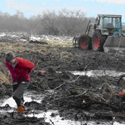 Anlage von Laichtümpeln auf feuchter Ackerfläche; ein Traktor im HIntergrund, eine laufende Person im Vordergrund