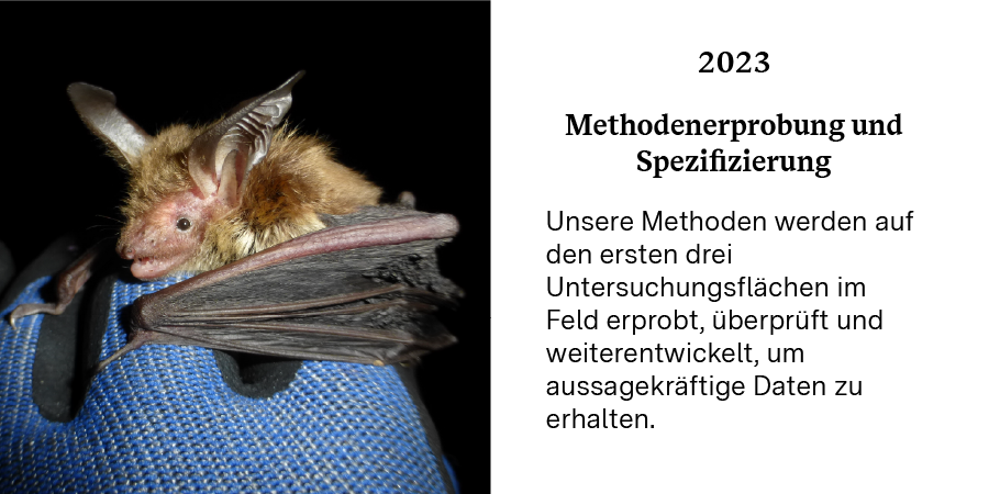 Meilensteine