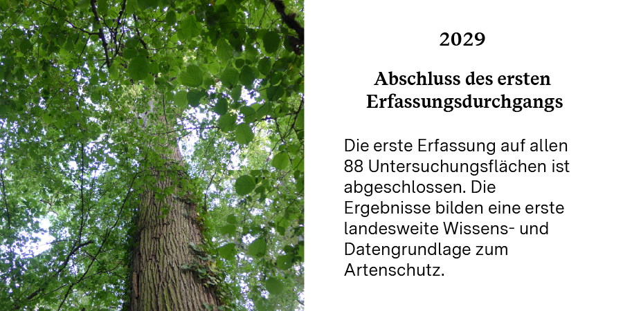 Meilensteine