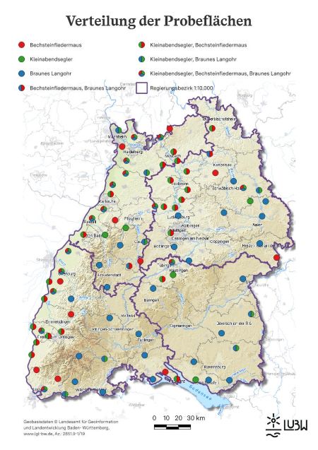 Die Karte zeigt die Verteilung der Probeflächen in Baden-Württemberg, der Link führt zu einer größeren Darstellung der Karte Die Karte zeigt die Verteilung der Probeflächen in Baden-Württemberg, der Link führt zu einer größeren Darstellung der Karte