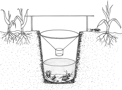 Schematischer Aufbau einer Bodenfalle