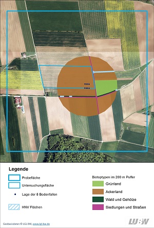 Luftbild einer Untersuchungsfläche mit 200 Meter Puffer