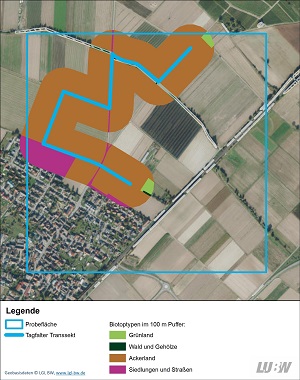 In das Luftbild einer Untersuchungsfläche sind in einem 100 Meter Puffer die Biotoptypen eingetragen. Es überwiegt Ackerland 