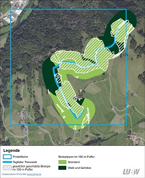 In das Luftbild einer Untersuchungsfläche sind in einem 100 Meter Puffer die Biotoptypen eingetragen. Es überwiegen Grünland und Weiden.