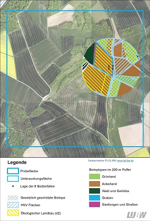 Luftbild einer Untersuchungsfläche mit 200 Meter Puffer, in dem sich ein hoher Anteil an ökologischem Landbau und HNV befindet 