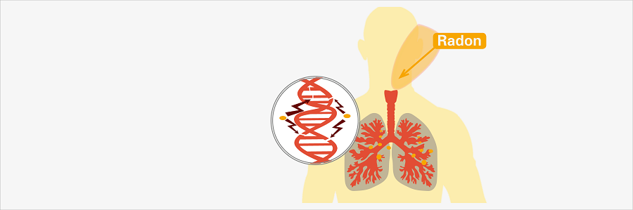 Radon ist die zweithäufigste Ursache für Lungenkrebs