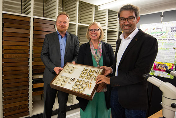 Bild zeigt v. l. n. r.: Professor Dr. Krogmann, Präsidentin Bell und Staatssekretär Baumann In der Insektensammlung des Staatlichen Naturkundemuseums Stuttgart