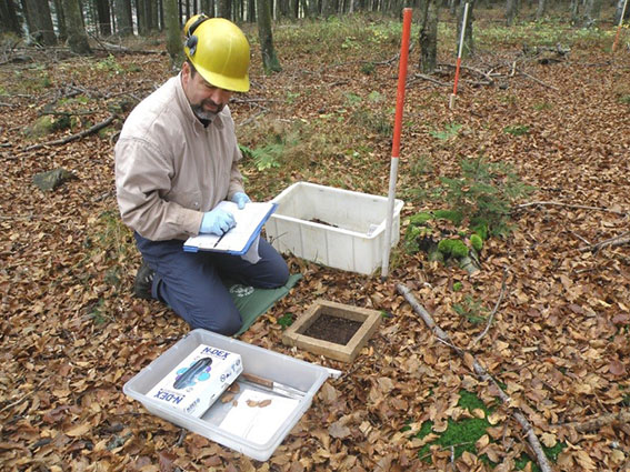 Mitarbeiter der LUBW entnimmt Bodenprobe im Wald.