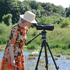 Umweltministerin Thekla Walker betrachtet durch ein Spektiv, ein Beobachtungsfernrohr, die Uferschwalben der Kolonie in der Donauschleife bei Binzwangen.
