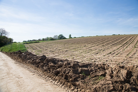 Löss Erosion