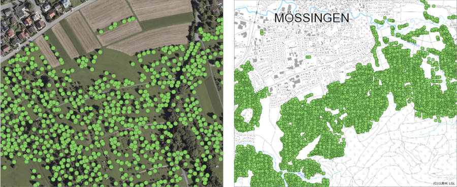 Streuobstbäume der Klassen 3–5 südlich von Mössingen (Links dargestellt als Luftbild im Maßstab 1: 1.850, rechts in einer Übersichtskarte im Maßstab 1: 13.500). Die Streuobstbäume werden durch grüne Punkte dargestellt. (LUBW,LGL)