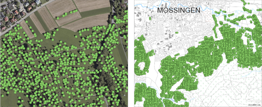 Streuobstbäume der Klassen 3–5 südlich von Mössingen (Links im Luftbild mit Maßstab 1 : 1850, rechts in einer Übersichtskarte im Maßstab 1: 13.500). Die Streuobstbäume werden durch grüne Punkte dargestellt. (LUBW,LGL)