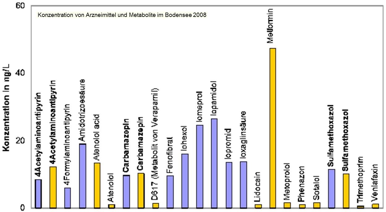 Das Balkendiagramm zeigt die Konzentration verschiedener Arzneimittel, wie z. B. Metformin mit der höchsten und Trimethoprim der niedrigsten Konzentration im Bodensee.