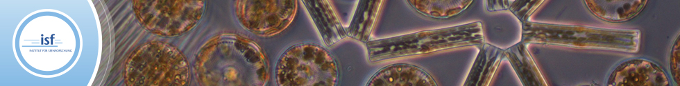 Banner des ISF mit einer Fotografie einer Phytoplanktongemeinschaft aus runden und sternförmigen Algen