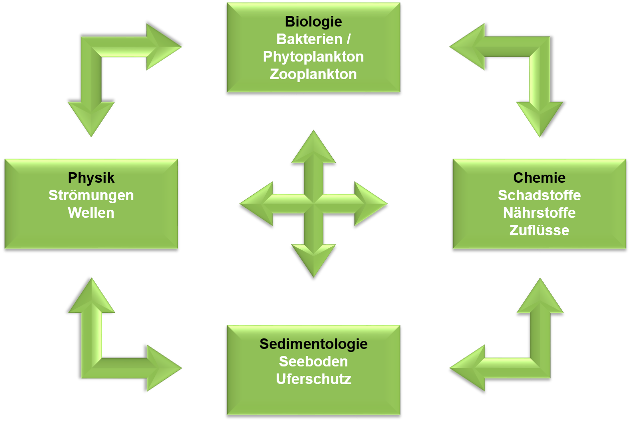 Grafik: Direkter Zusammenhang von vier Themengebieten. Die Biologie mit den Schwerpunkten Bakterien, Phytoplankton, Zooplankton, die Chemie mit den Schwerpunkten Schadstoffe, Nährstoffe, Zuflüsse, die Sedimentologie mit den Schwerpunkten Seeboden, Uferschutz und die Physik mit den Schwerpunkten Strömungen, Wellen.