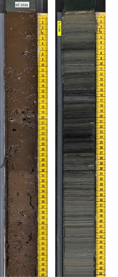Zwei längs aufgeschnittene Sedimentkerne mit einer Länge von ca. 50 cm. Der linke Sedimentkern ist braun und mit verschiedenen Hohlräumen versehen. Der rechte Sedimentkern ist in verschiedenen Grautönen. Deutlich zu sehen sind verschiedenen Schichten, die auf unterschiedliche Einlagerungen hinweisen.
