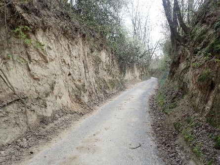 geteerter Hohlweg bei Oberöwisheim im Kraichgau