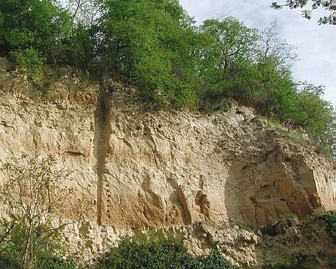 Hellbraune Lösswand mit eingeschlossenen Schichten von Paläoböden (braun) bei Riegel,