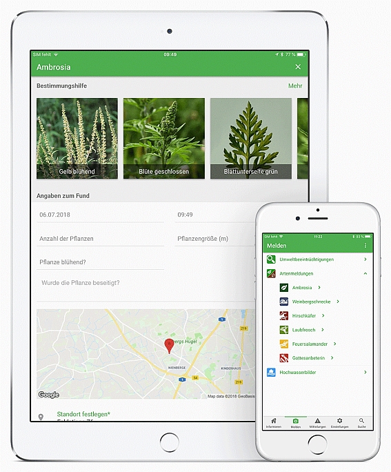 "Meine Umwelt" App: Meldeplattform auf einem Tablet und einem Handy