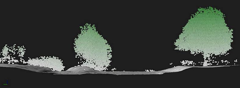 Querschnitt durch die Laserscan-Punktwolke des LGL. Strauchartige Vegetation links, Baum mit Unterwuchs auf der rechten Seite.