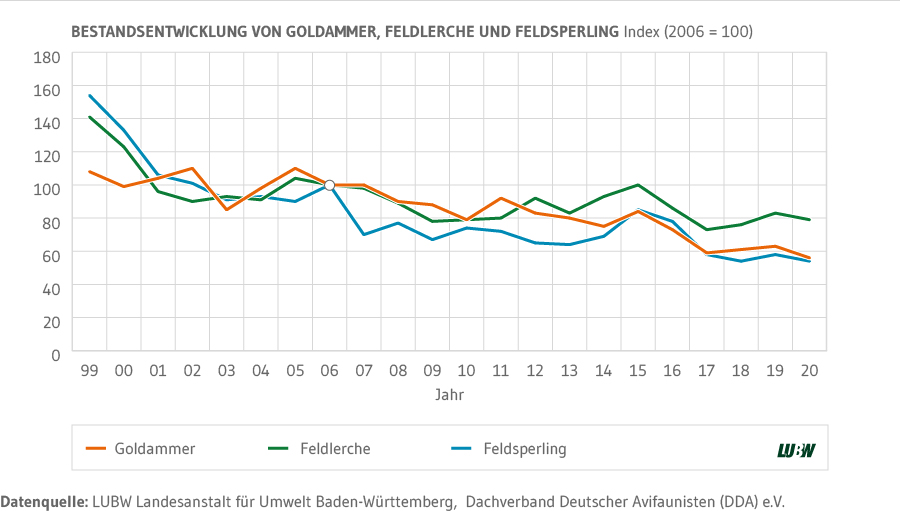 Liniendiagramm: Zeigt die Bestandsentwicklung von Goldammer, Feldlerche und Feldsperling mit dem Indexjahr 2006 von 1999 bis 2020. Der Bestand aller drei Arten hat über den betrachteten Zeitraum abgenommen. 