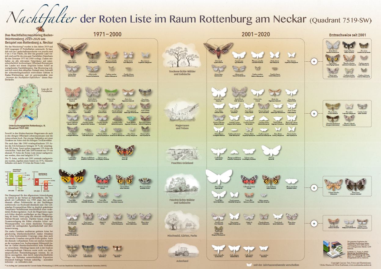 Historischer Vergleich der Artenzusammensetzung von Nachtfaltern der Roten Liste in einem exemplarisch ausgewählten Untersuchungsgebiet des Nachtfalter-Monitorings. Quelle. Ulrike Eberius