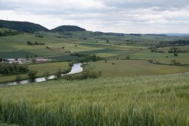 Blick auf einen naturnahen Abschnitt der Donau mit Auenwälder vom Wartenberg aus nahe Gutmadingen. Quelle: Wolfram Grönitz.