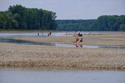 Niedrigwasser am Rhein bei Dettenheim am 14. August 2022. Menschen rasten, wo sonst bei Mittelwasserstand des Rheines Wasser fließt. Quelle: LUBW
