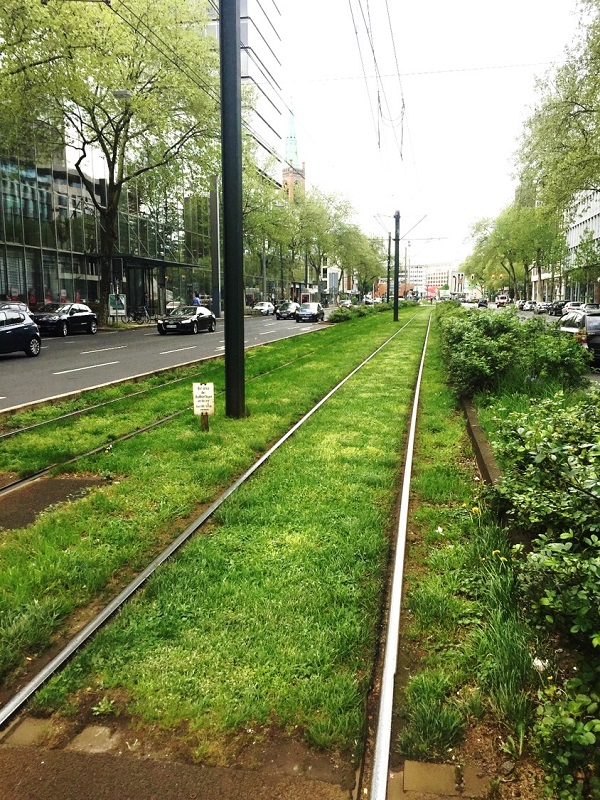 Begrünte Verkehrsfläche. Quelle: Christian Kotremba