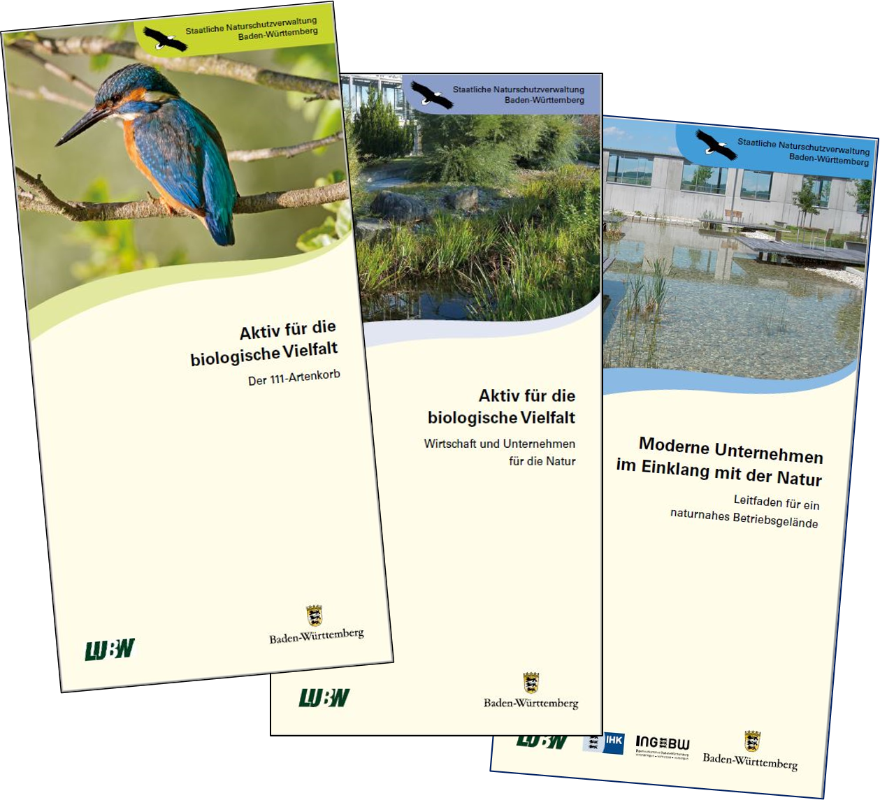 Bild zeigt die drei aktualisierten Flyer; von links nach rechts die Titel: "Der 111-Artenkorb", "Wirtschaft und Unternehmen für die Natur" und "Moderne Unternehmen im Einklang mit der Natur"