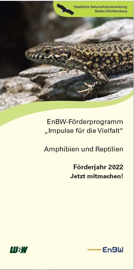 Das Bild zeigt das Cover des aktuelles Flyers zum EnBW-Förderprogramm 2022