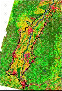 Landnutzung im Oberrheingraben nach Satellitendaten